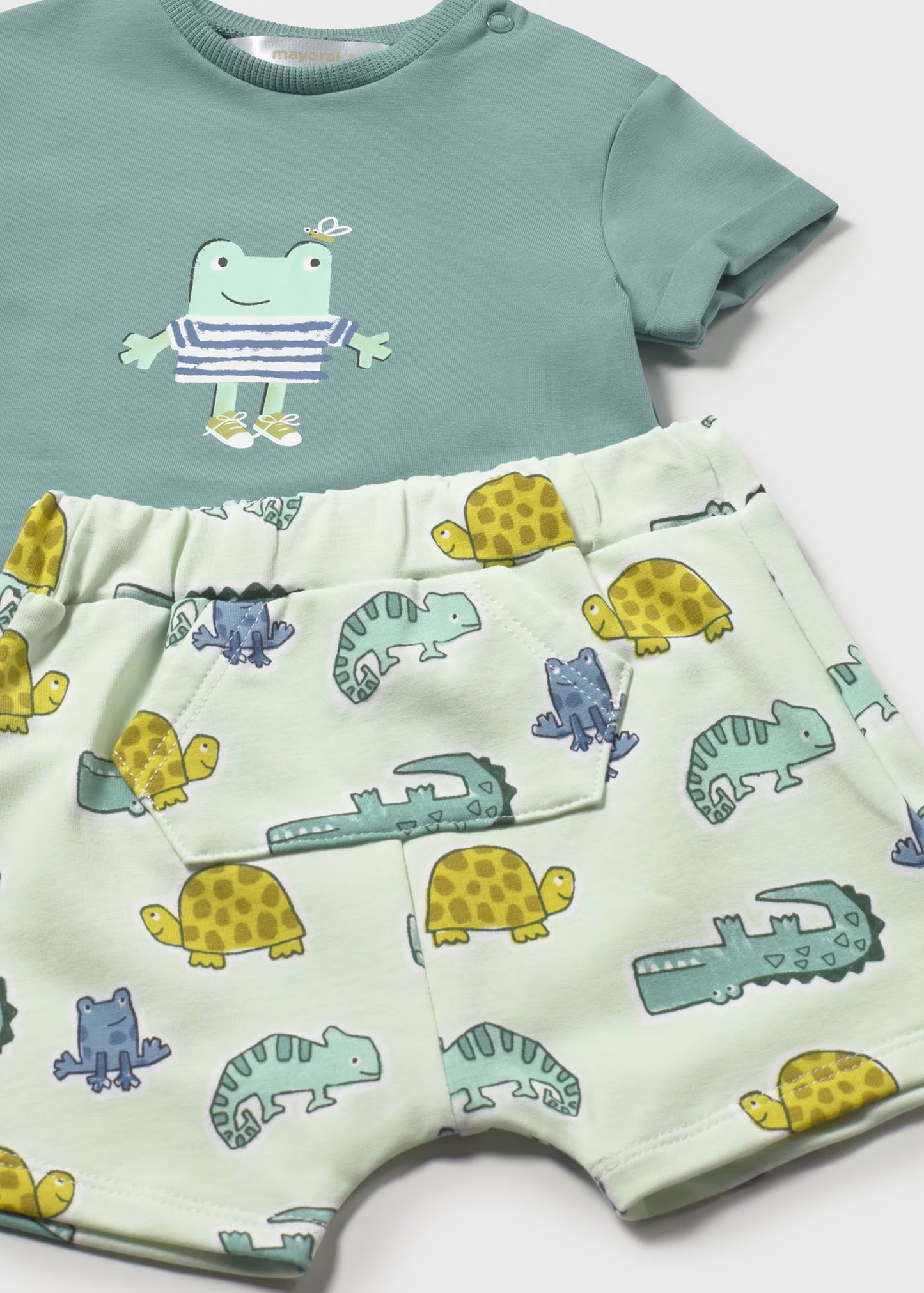 Boy Printed Shorts and T-shirt Set