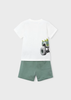 Boy Shorts and T-shirt Set
