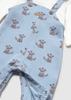 Newborn Boy Printed One-Piece -Sky