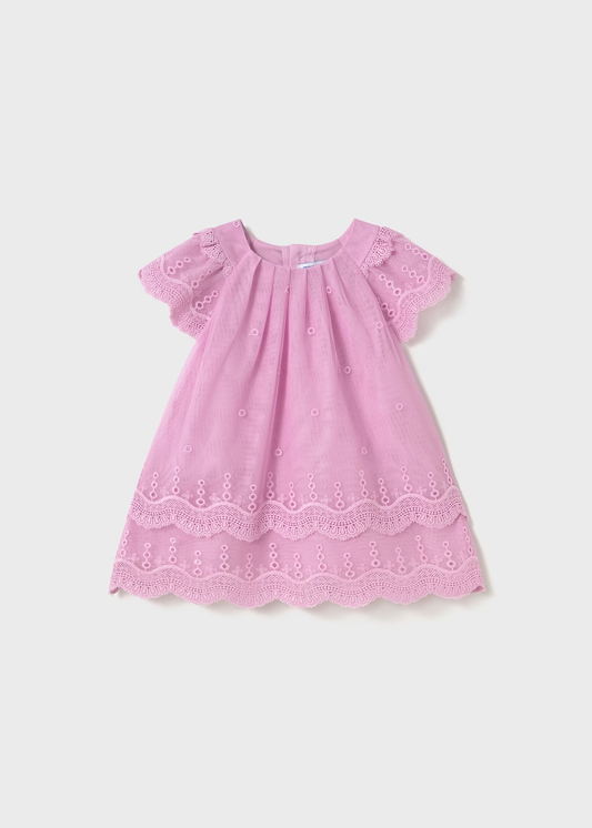 Baby Embroidered Tulle Dress with Ruffles - Mauve
