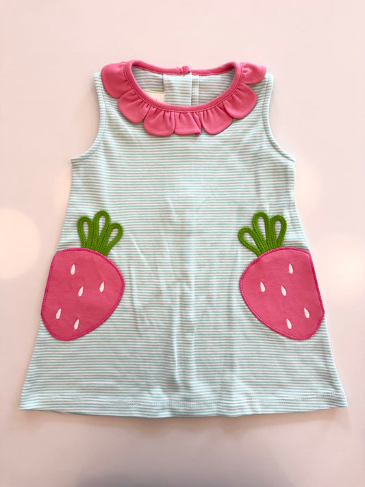Strawberry Reagan Dress, Mint Bitty Stripe Knit