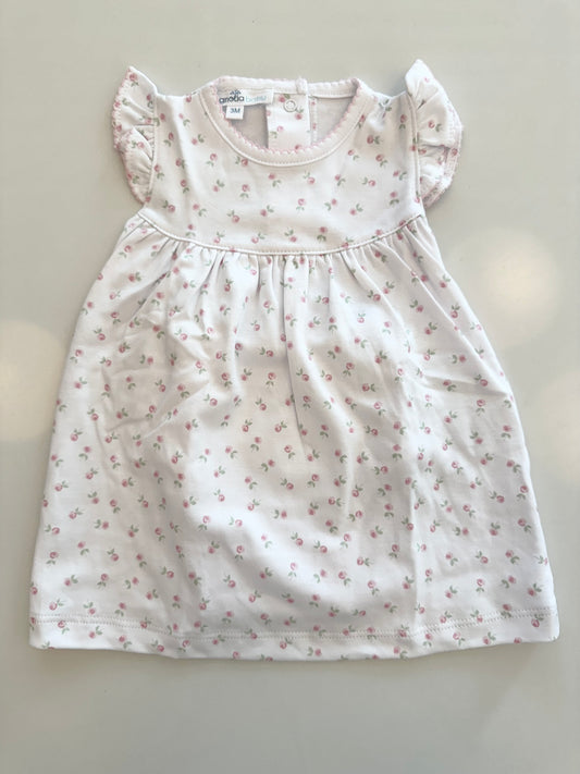 Juliette's Classics Printed Flutters Dress Set