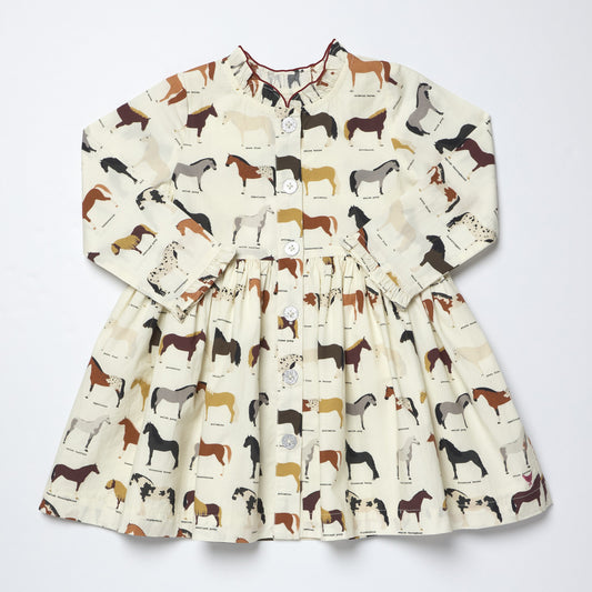 Girls Autumn Dress - Horse Breeds