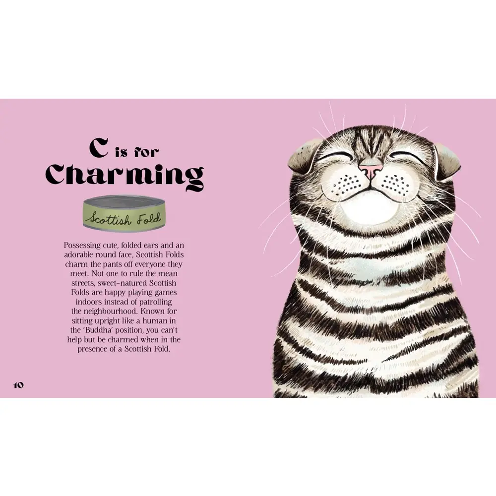 Catphabet: A Cat Alphabet