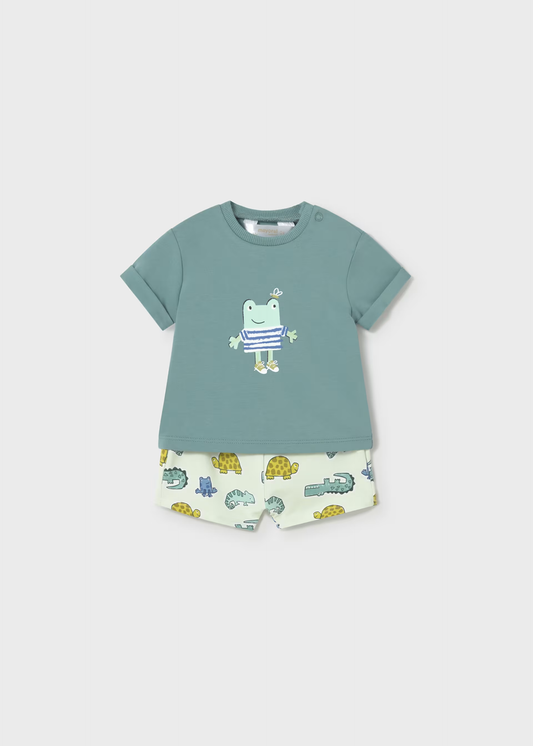 Boy Printed Shorts and T-shirt Set