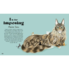 Catphabet: A Cat Alphabet