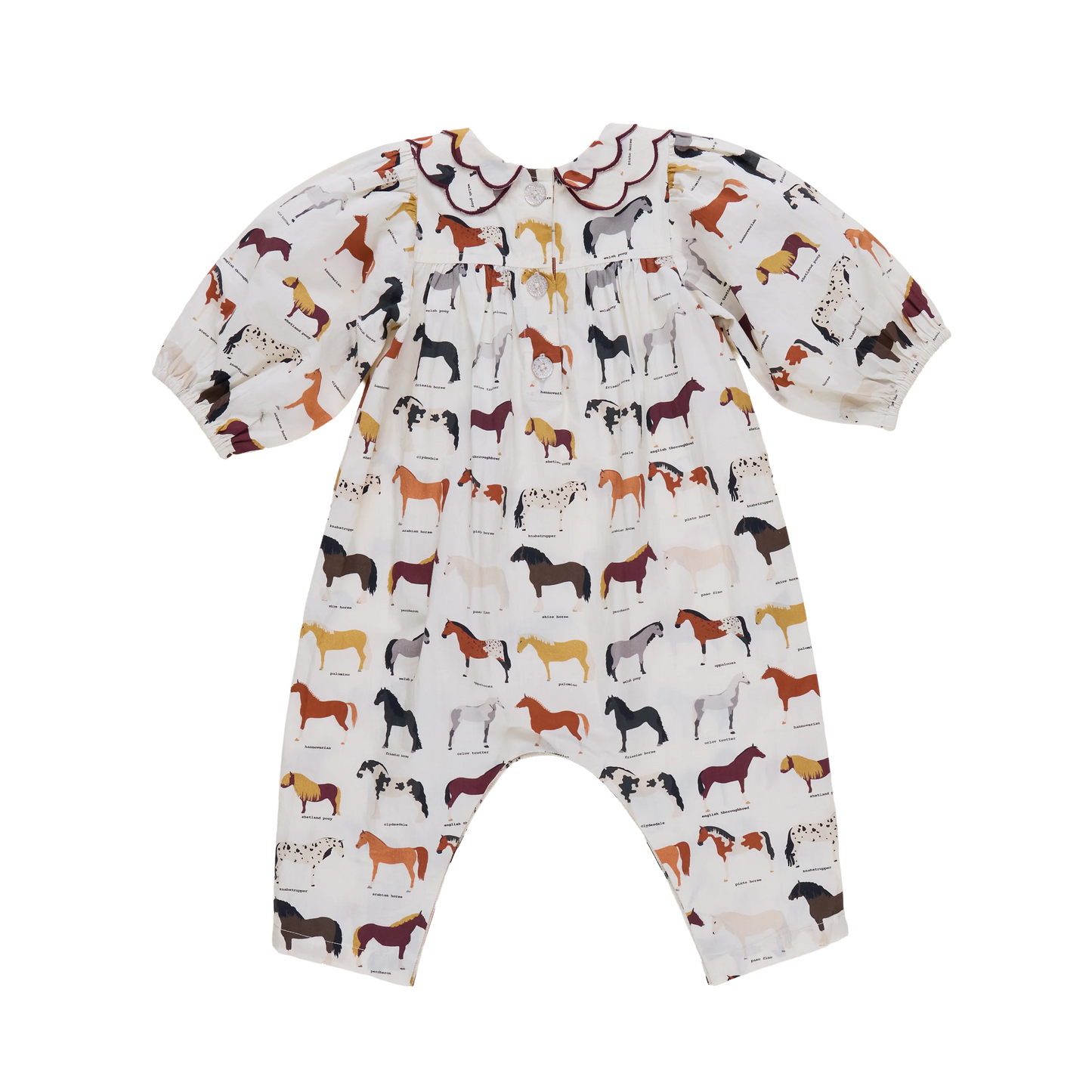 Baby Girls Darcy Jumper - Horse Breeds