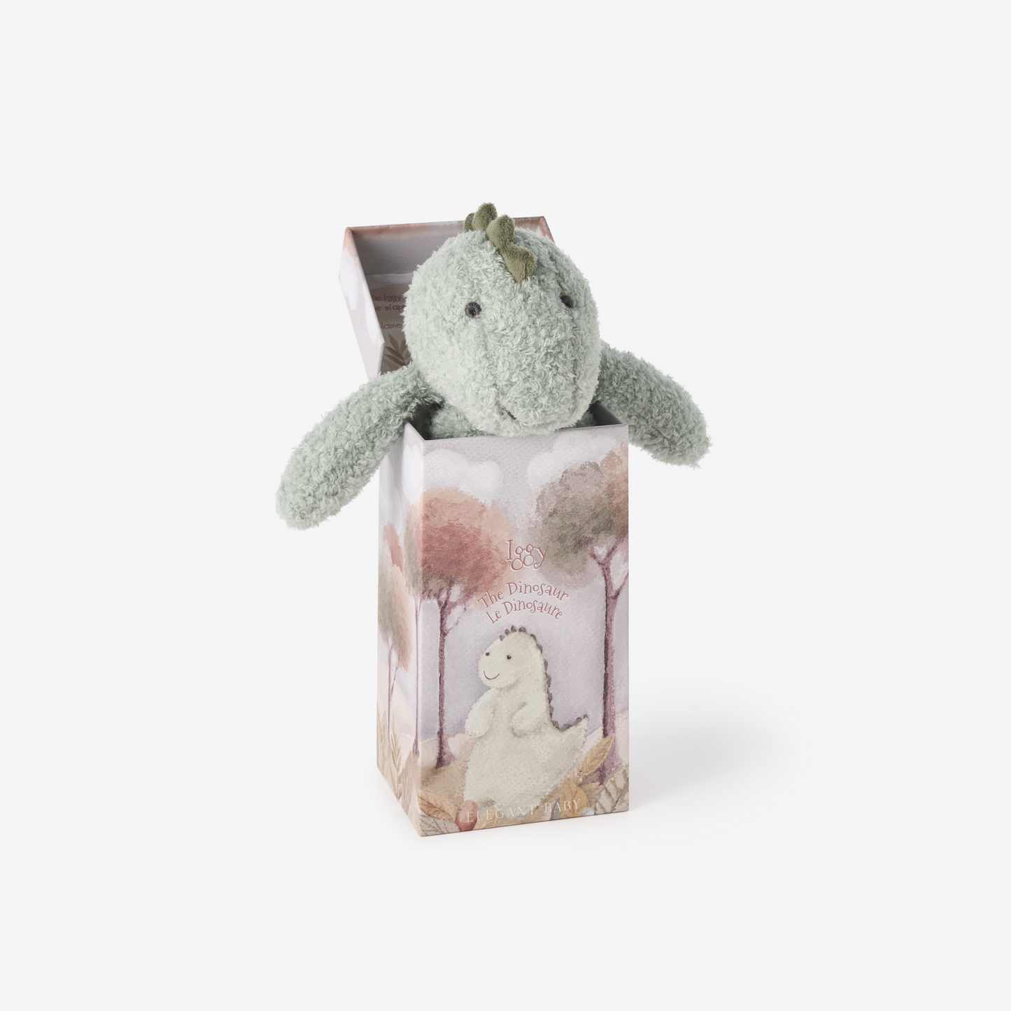 Dinosaur Snuggler Box