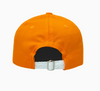 University of Tennessee Hat