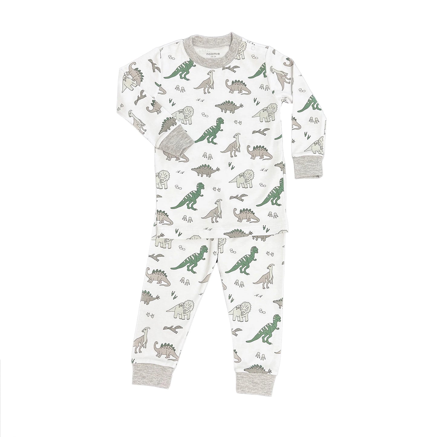 Two Piece PJ Dinosaurs