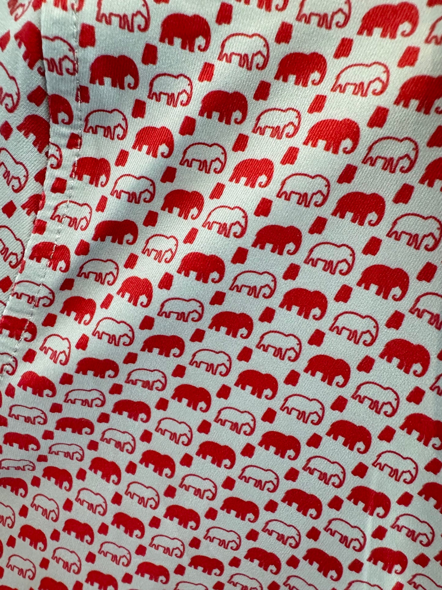 Elephant AL Outline