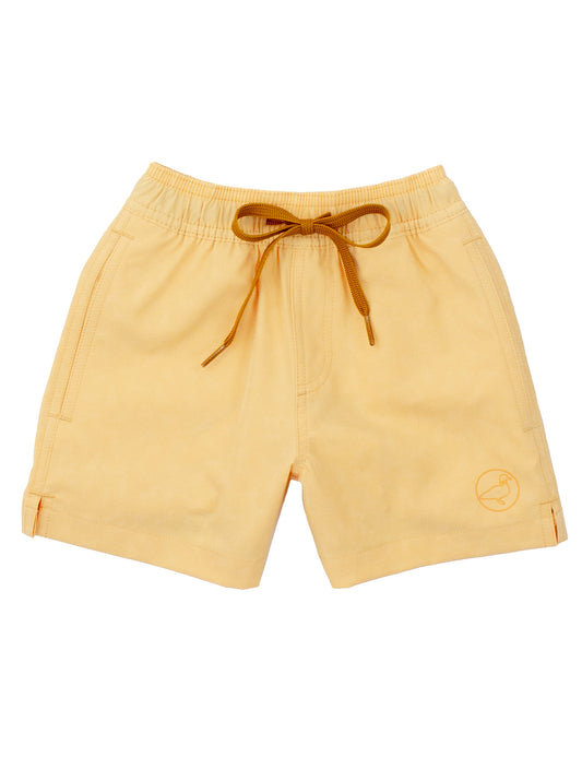 Boys Splash Swim Dogs