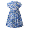 Periwinkle Button - Front Dress