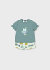 Boy Printed Shorts and T-shirt Set