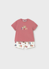 Boy Printed Shorts and T-shirt Set - Terracotta