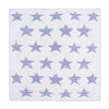 Chenille - Dusty Blue Star Blanket